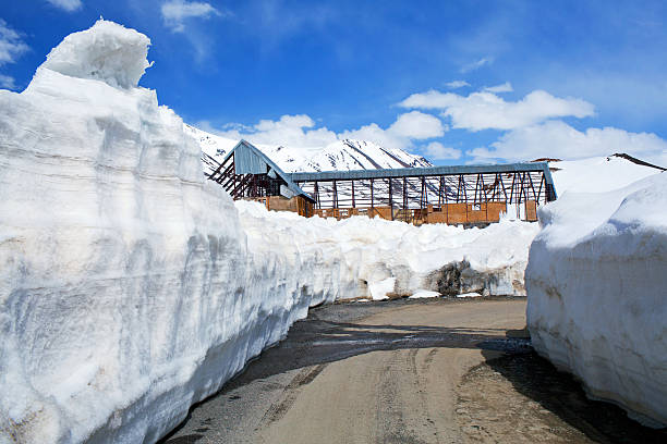 Shimla Tour Package 2 Nights 3 Days