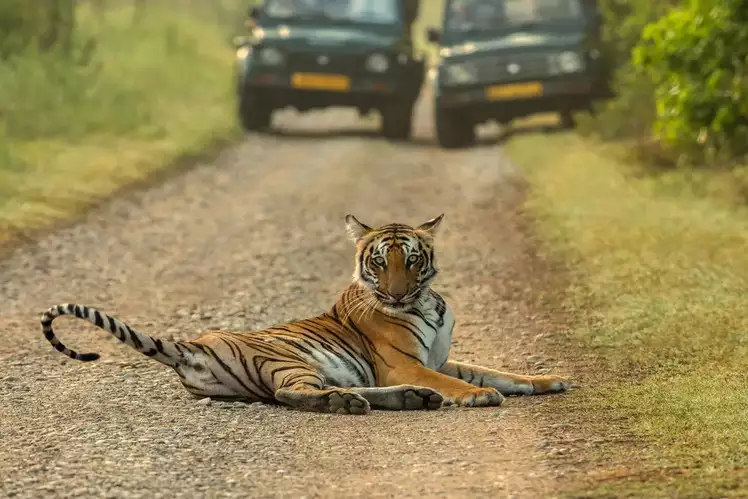 Jim Corbett and Nainital Tour Package from Delhi